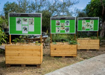 New Signs and New Stories at Amuseum Naturalis