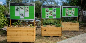 New Signs and New Stories at Amuseum Naturalis
