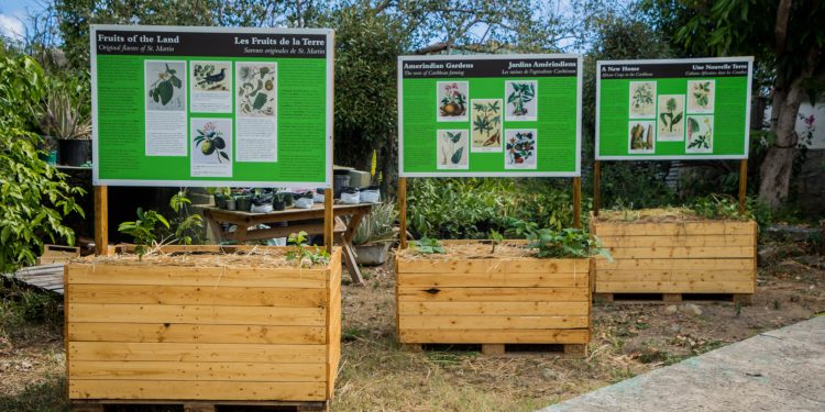 New Signs and New Stories at Amuseum Naturalis