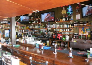 Nature Foundation Organizes Environmental Pub Quiz Event