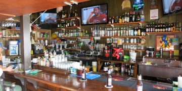 Nature Foundation Organizes Environmental Pub Quiz Event