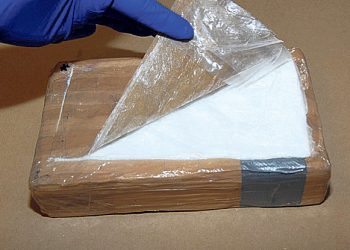 Over 800 kilograms of cocaine intercepted at Rotterdam port