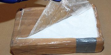 Over 800 kilograms of cocaine intercepted at Rotterdam port