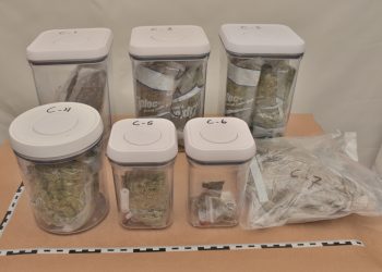 Early morning search conducted