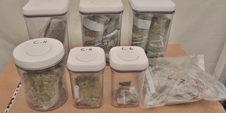 Early morning search conducted