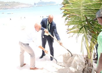 VROMI Celebrates World Environment Day 2019, Minister Giterson Plants Trees
