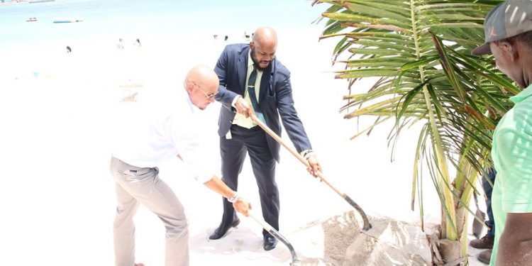 VROMI Celebrates World Environment Day 2019, Minister Giterson Plants Trees