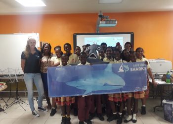 Nature Foundation Visits Several Elementary Schools for St Maarten Shark Week