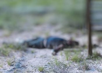 Nicaraguan migrant found dead in Texas with Trinidad & Tobago phone number in pocket