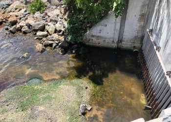 Nature Foundation Calls on Government Owned Companies and Major Developments to Have Environmental Impact Assessments Conducted and Environment Health and Safety Officers on Staff after Responding to Sewage Leaks Last Week