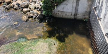 Nature Foundation Calls on Government Owned Companies and Major Developments to Have Environmental Impact Assessments Conducted and Environment Health and Safety Officers on Staff after Responding to Sewage Leaks Last Week