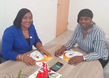 Ombudsman presents Year Report 2018  to Prime Minister Romeo Marlin