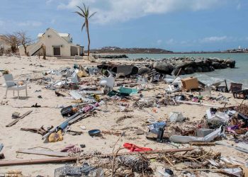 Hurricane Season 2019 Clean Up Schedule