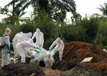 St Lucia, Barbados on Ebola alert