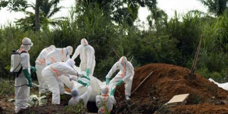 St Lucia, Barbados on Ebola alert