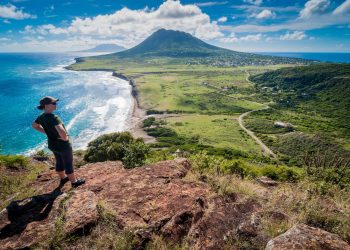 Get Your Photo Published in Statia Wildlife Book