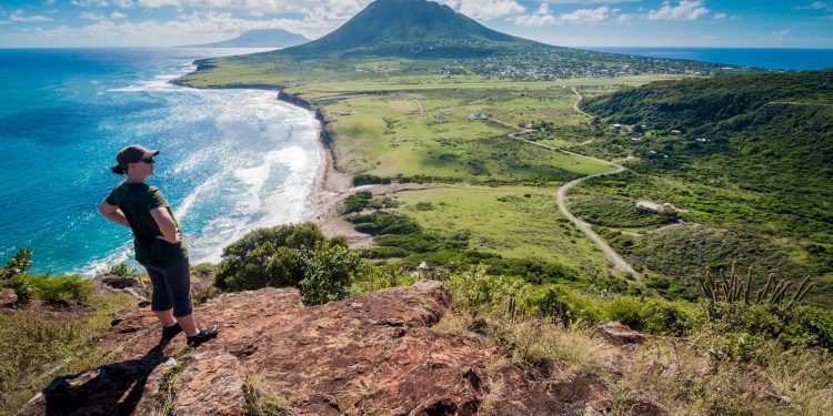Get Your Photo Published in Statia Wildlife Book