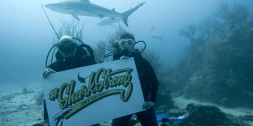 SXM Shark Foundation launched with pledge to improve shark conservation