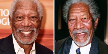 Police call Dutch to delete FaceApp