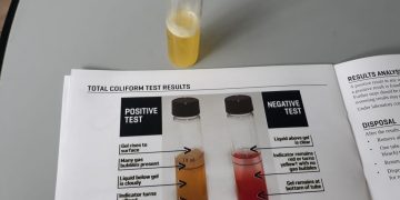 Water Quality Test Conducted by Nature Foundation at Great Bay Beach Shows Sewage Contamination