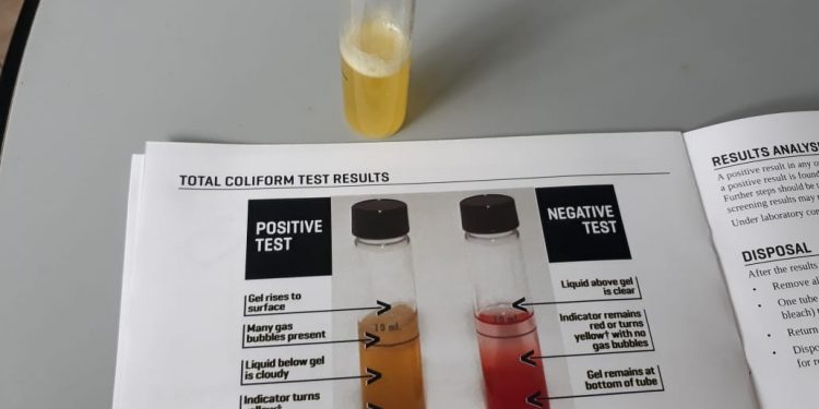 Water Quality Test Conducted by Nature Foundation at Great Bay Beach Shows Sewage Contamination