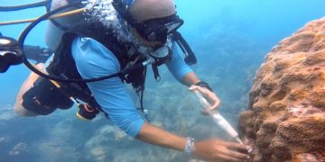 Sint Maarten Nature Foundation Joins Expert Meeting to Tackle New Coral Disease