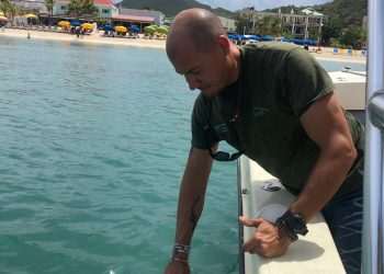 Nature Foundation Tests Water Quality at Great Bay Beach after Heavy Rains on Monday