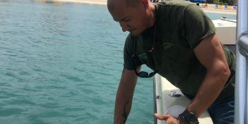 Nature Foundation Tests Water Quality at Great Bay Beach after Heavy Rains on Monday