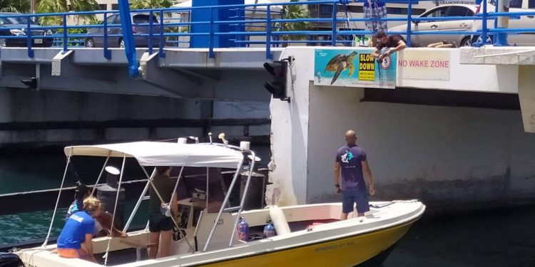 Nature Foundation Announces Participants for Youth Environmental Exchange Collaborates with the Dutch Caribbean Nature Alliance, STINAPA Bonaire and World Wildlife Fund