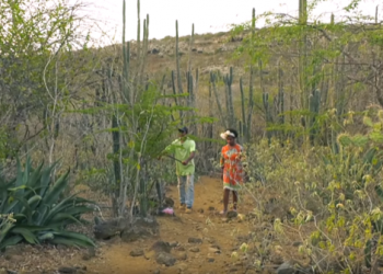 Safeguarding Nature Television Program- Bonaire, Saba and St. Eustatius