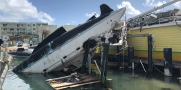 Let Our Environment Not be an Afterthought During our Crises