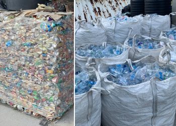 GreenBox collects over 13000  pounds of trash from Catholic schools