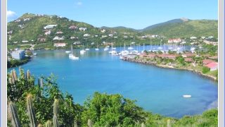 Amendment decree to dissolve Parliament and call early elections 2020