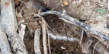 TelEm Group to carry out major cable maintenance works in St. Peters area starting this week