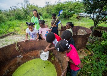 Fun Activities with Birds and Heritage at Free Migratory Bird Festival on Saturday