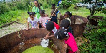 Fun Activities with Birds and Heritage at Free Migratory Bird Festival on Saturday