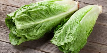Ministry of Public Health: “Romaine lettuce from Salinas, California, linked to another E. coli outbreak”