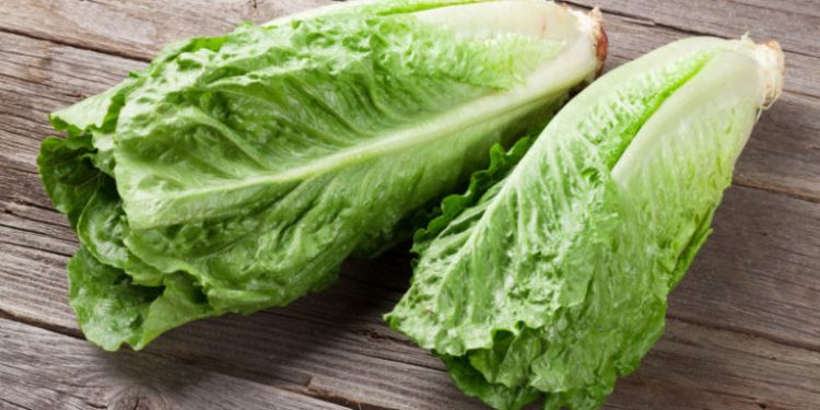 Ministry of Public Health: “Romaine lettuce from Salinas, California, linked to another E. coli outbreak”