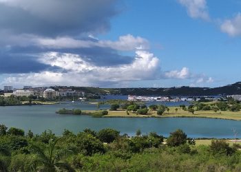 Volunteers to Clean Up Mullet Pond
