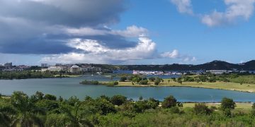 Volunteers to Clean Up Mullet Pond