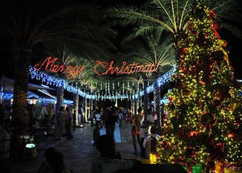 Christmas is coming to WPS on Saturday. You’re invited to the Annual Lighting of the Tree