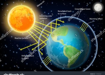 Supreme Court orders Netherlands to slash greenhouse emissions within a year
