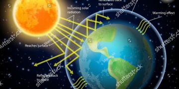 Supreme Court orders Netherlands to slash greenhouse emissions within a year