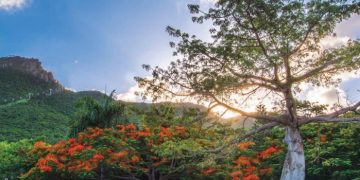 SHTA LAUNCHES SPECIAL 50 YEARS EDITION OF VISIT MAGAZINE