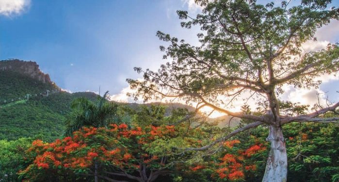 SHTA LAUNCHES SPECIAL 50 YEARS EDITION OF VISIT MAGAZINE