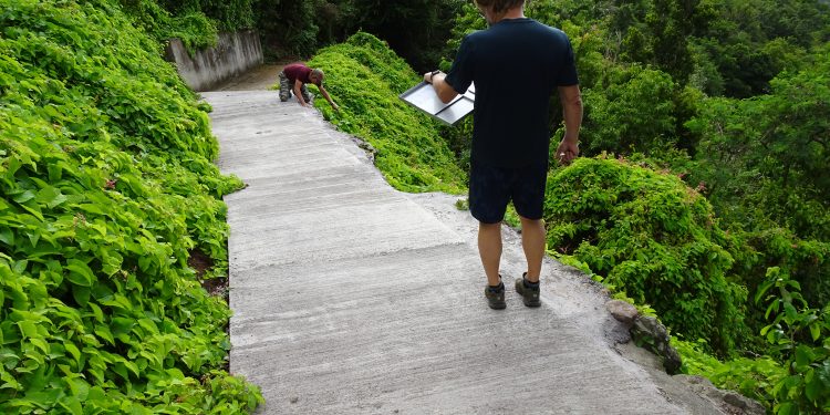 Crispeen Trail works completed