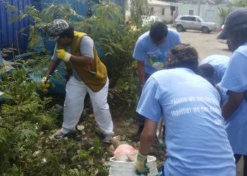 Tzu Chi, AUC students clean Pond Island