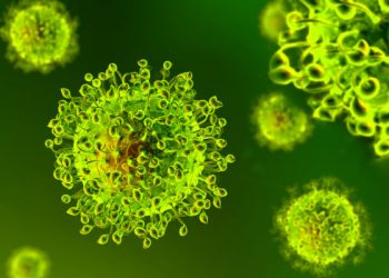 More coronavirus cases just over Dutch border in Limburg