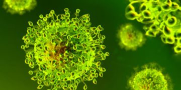 More coronavirus cases just over Dutch border in Limburg