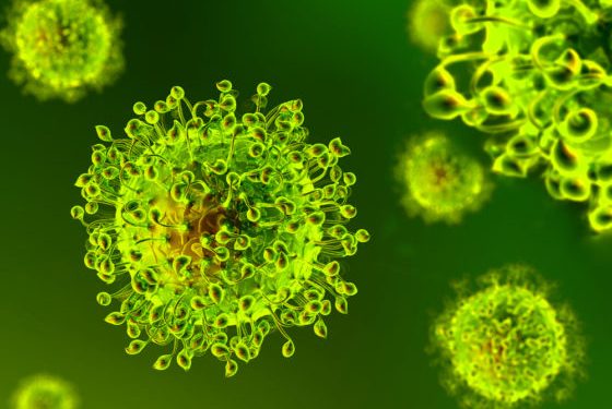 More coronavirus cases just over Dutch border in Limburg